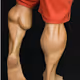 Crypto Calfs