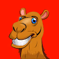 CAMEL Z collectibles #NFT