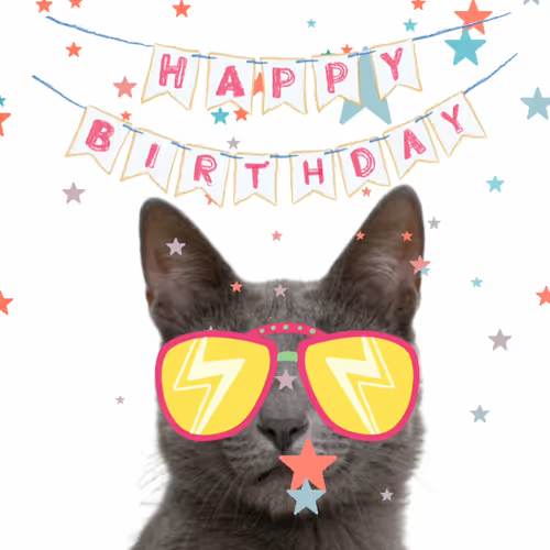 Cat's Birthday Party