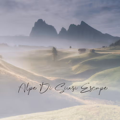 Limited Editions x Rach Stewart