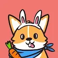 Corgi Grooming