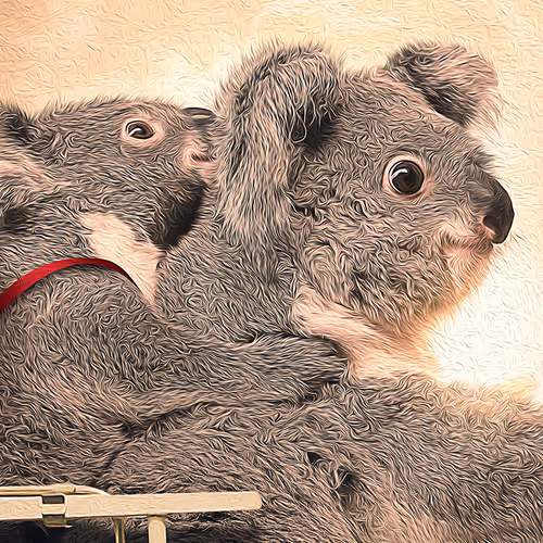 VIP CARDHOLDERS - GIVING BACK