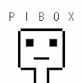 Pixel Face Box