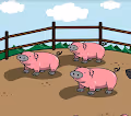 Pigs Playground PIGS