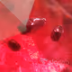 RUBY (Heated With Fissure Healing) - old