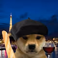 DOGGY LIMITED EDITION