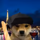 DOGGY LIMITED EDITION