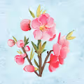 Fabulous flowers - old
