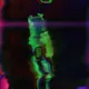 LNRZ - Glasstempo x Kevin George - What U Like