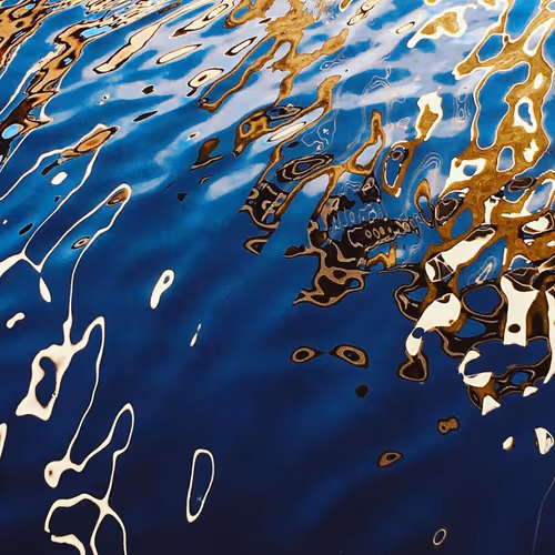 Foundsculpture: Photography Collection