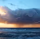 Retouched Tasmania