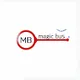 MagicBus FlyPunks
