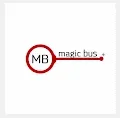 MagicBus FlyPunks