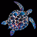 NF Turtles