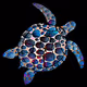 NF Turtles