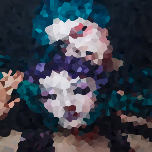 Pixelated Women