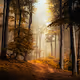 Stories of the Forests