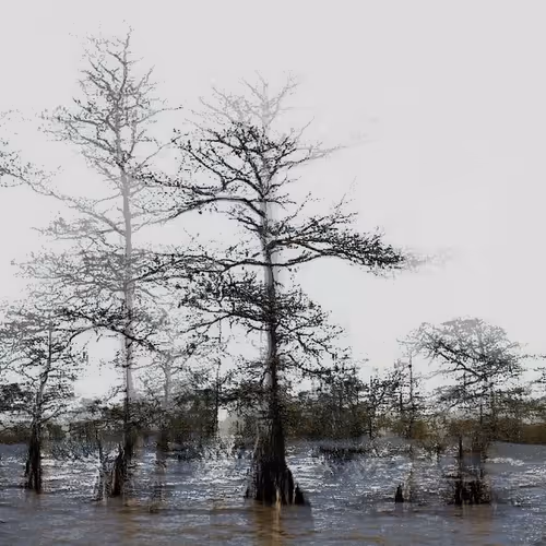 Fragments:30.2051 N, 90.1121 W by Anna Ridler & Caroline Sinders