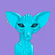Holopopik