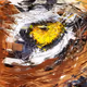 Generative art by Mark Knol