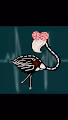 FlamboyantFlamingos