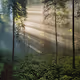 The Light Leads the Way by Kristin Piljay