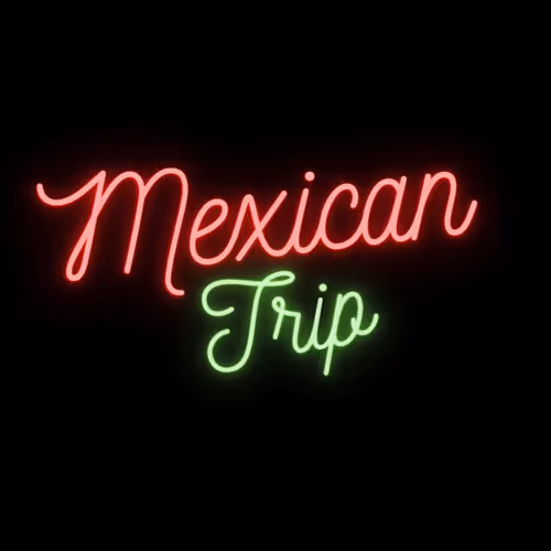 Mexican Trip