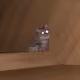 Korea Cat