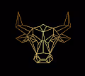 Initiation Masks