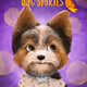 Dog Stories