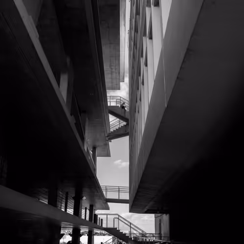 Anticipation of Solitude