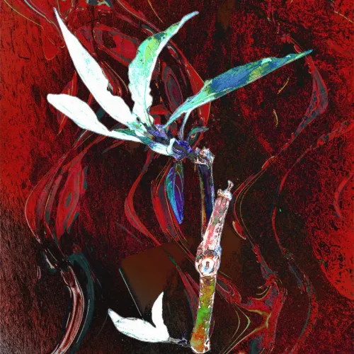 Conversations with God