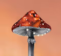 Mushroom Picking Season by Karina Eibatova