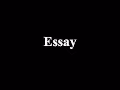 Essays on College Life