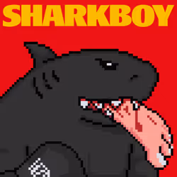 Shark Boy Fight Club
