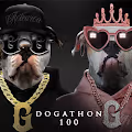 MR G DOGATHON 100 SERIES