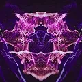 KRISALIS - INCEPTION