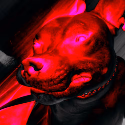 E-DOGS COLLECTION