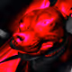 E-DOGS COLLECTION