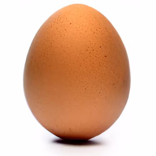 EGG OE
