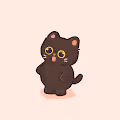 FatCatt