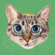 ADORABLE CATS portrait