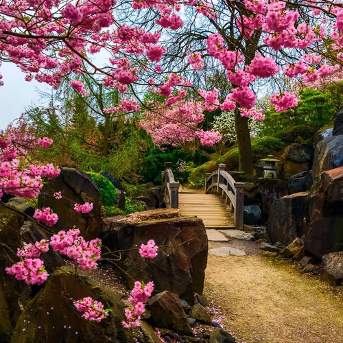 #1 collection of pictures