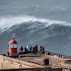 The Big Wave Collection