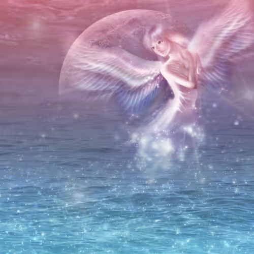 Mery's Simulation World