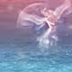 Mery's Simulation World