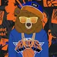 Curtis Bear