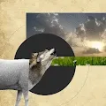 Collages of Digital Life