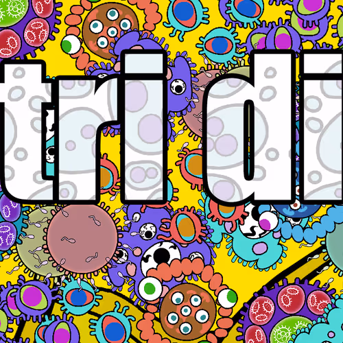 2 Petri   Dish    Growth floor 0