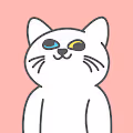 KichikichiCAT-ST